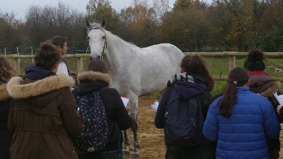 Concours de Jugement des Animaux par les Jeunes