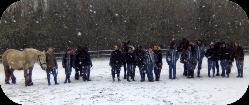 La neige est dans le pré