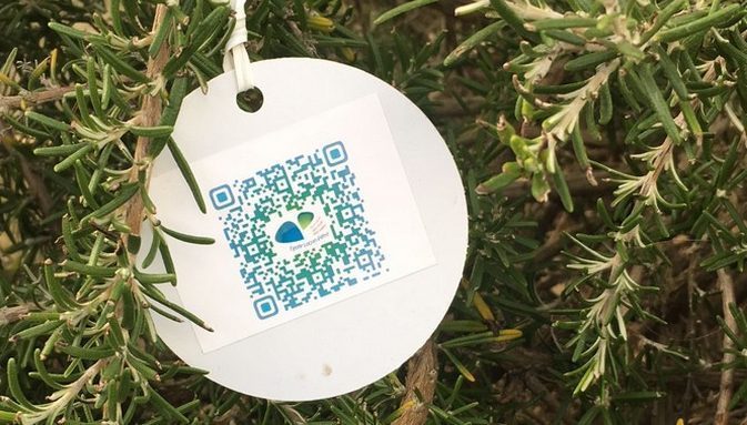 Le QRCODE pour la connaissance des végétaux – un nouvel outil créé à Pétré