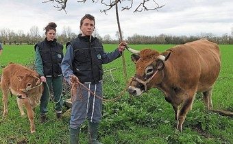 Ivresse, une maraîchine au Salon de l’agriculture