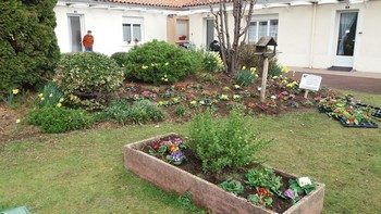 Plantation à la maison de retraite